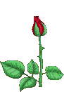 fb45b830[1] (2).gif?1342336365011